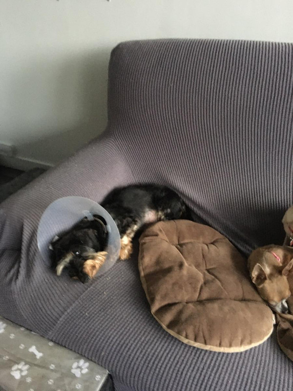 [Image: IMG-3621.jpg]