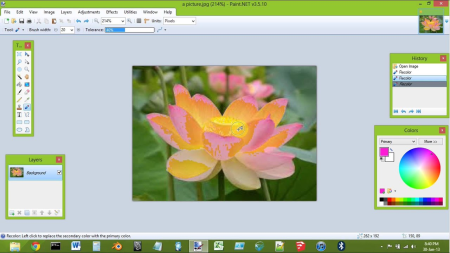 Digital Art Creation Using Paint.NET: Step-by-Step Guidance to Using Drawing Tools and Applying Artistic Filters