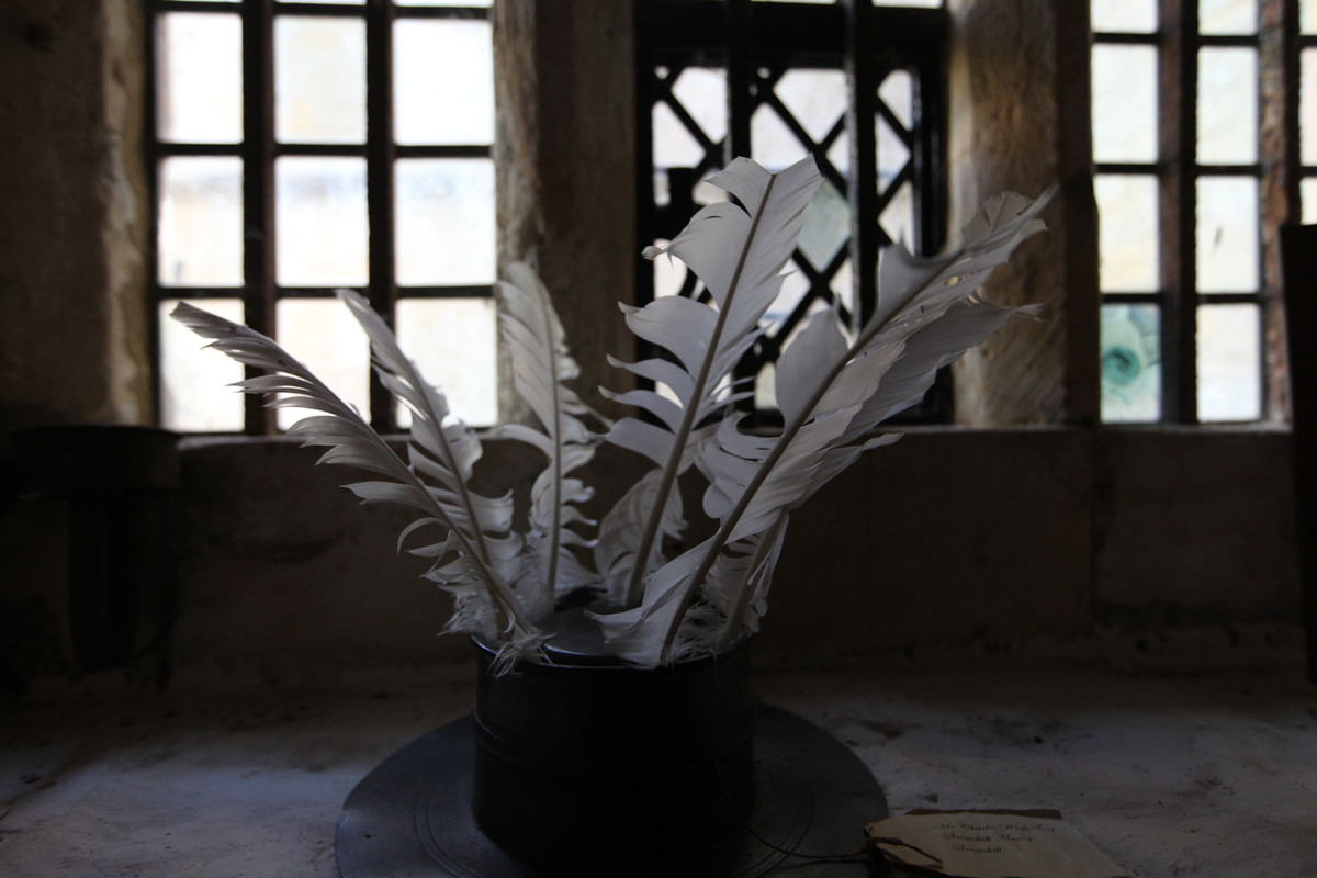 IMG 7477 — Postimages