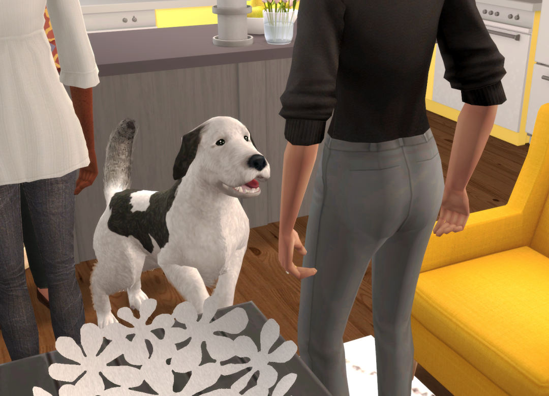 Sims2-EP9-RPC-2024-04-21-22-08-01-06