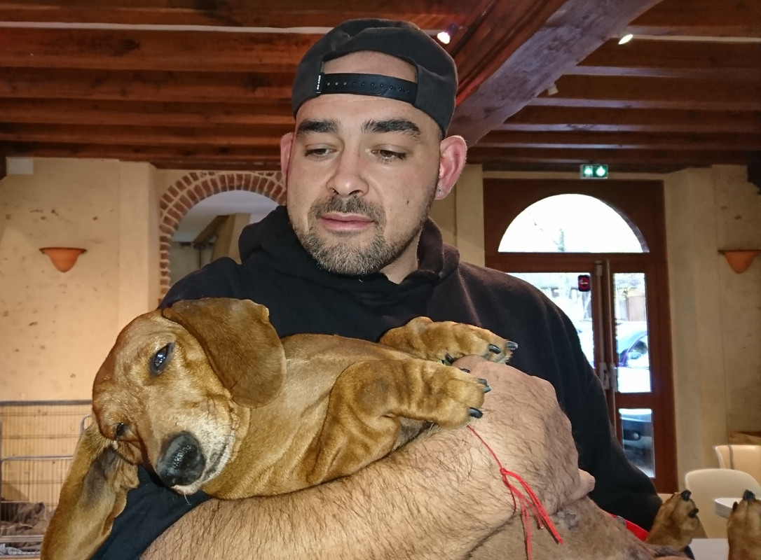 [Image: 20240918-224215.jpg]