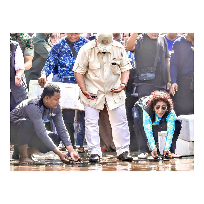 Potret Prabowo Subianto dan Susi Pudjiastuti saat lepas tukik di sebuah pantai di Pangandaran, pada Senin (17/7/2023).