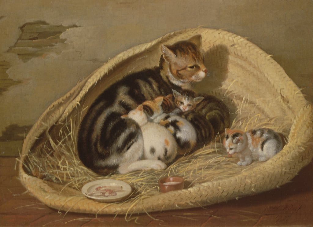 Samuel-de-Wilde-Cat-with-Her-Kittens-in-a-Basket-1797-Meister-Drucke-78513