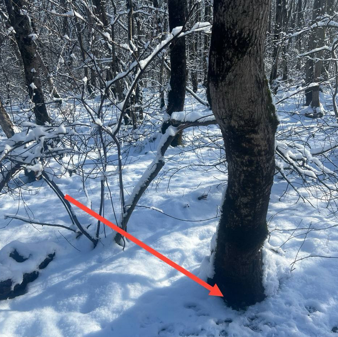 Screenshot From 2025 11 25 16 54 12