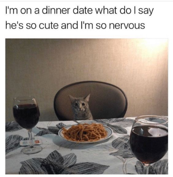 Catdinnerdate9f377ba76356881a024d8ee6.jpg
