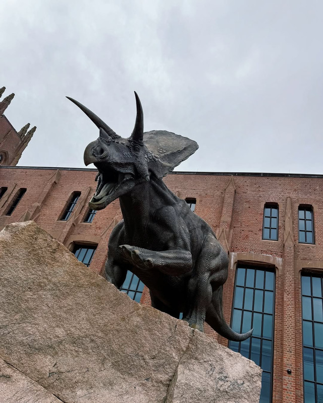 再见就是五月了 (1)