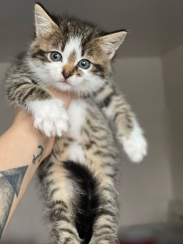 C1F20172-8873-4C1A-90B2-FC1A44760E96