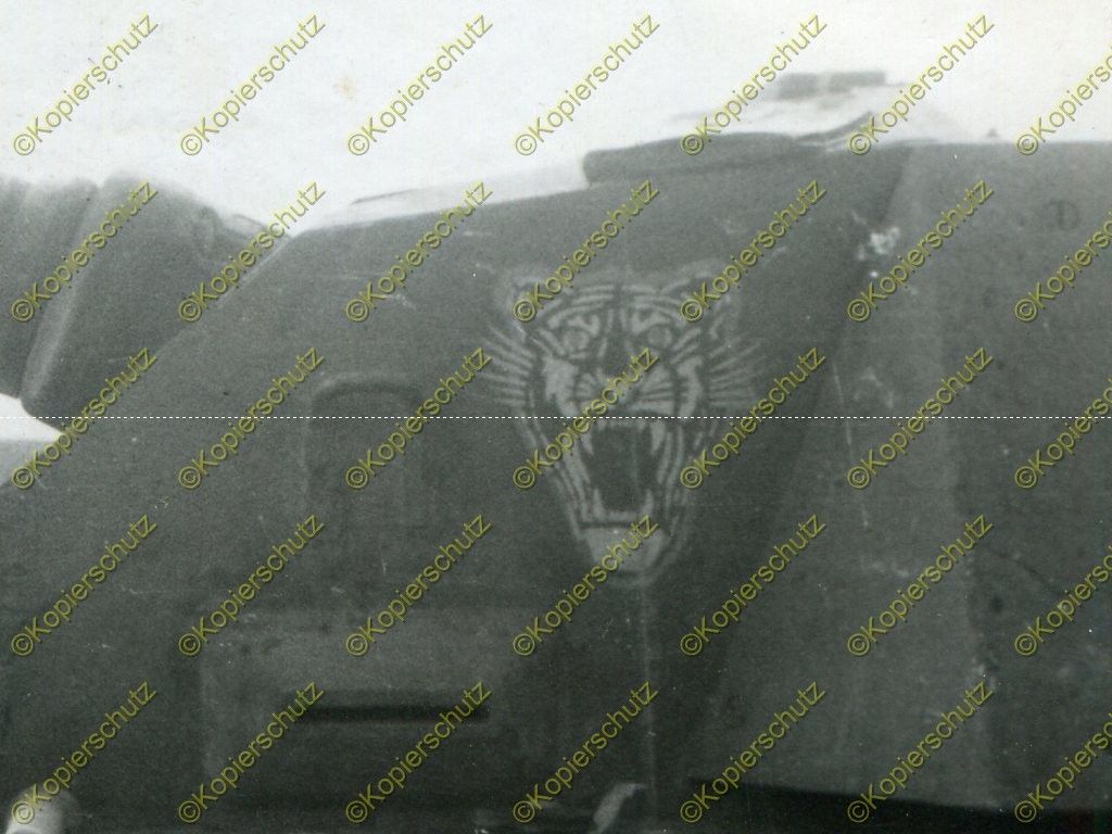 Foto, Sturmgeschütz-Abteilung 210, Stug, Sturmgeschütz im Einsat