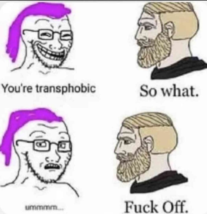 trans.jpg