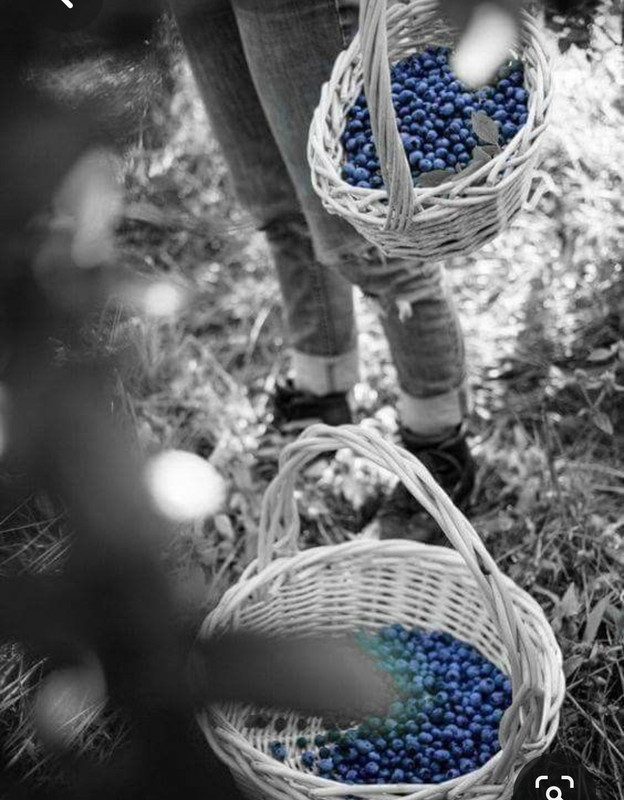 Screenshot_20230419_003654_Pinterest