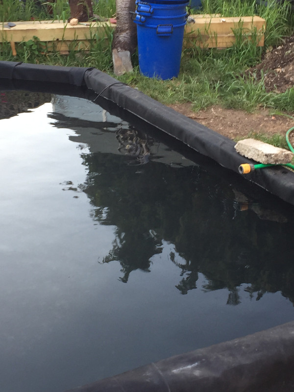 95F6F3BB-3960-4D98-B74E-76C6969F1666