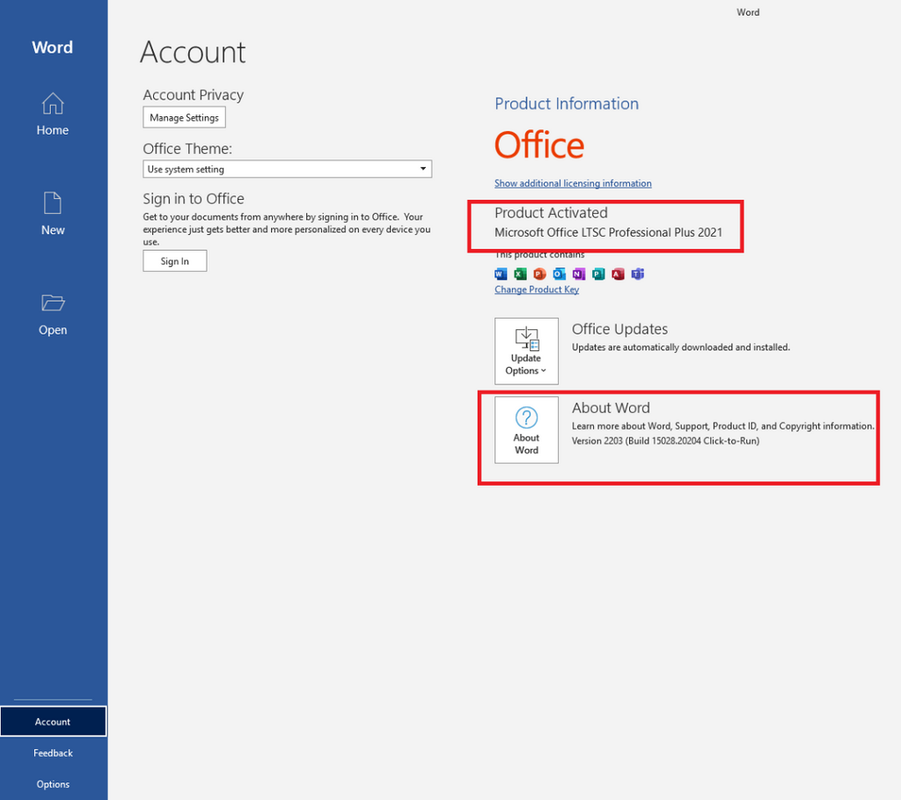 Microsoft-Office-Professional-Plus-2021-VL-Version-2203-Build-15028-20204-x64-Multilingual.png