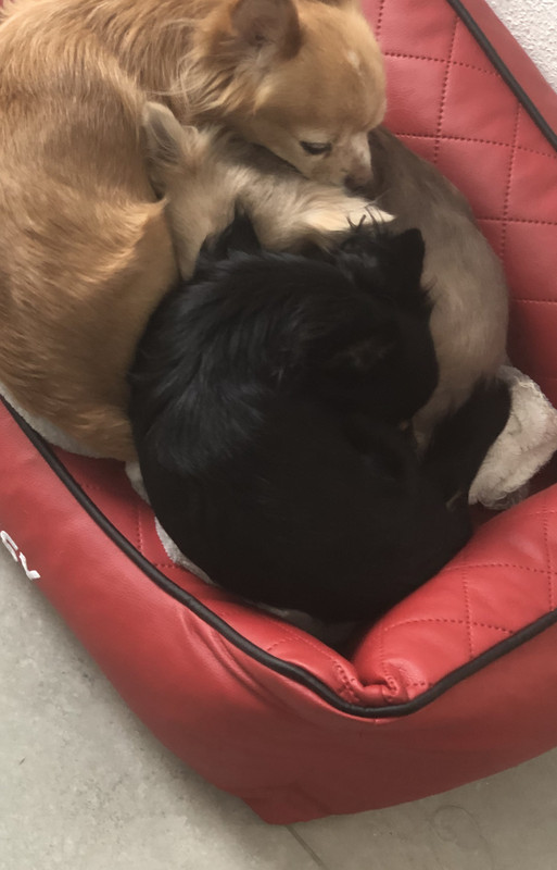 4599193F-8CE0-4A35-8DFD-E246EFBF5D15