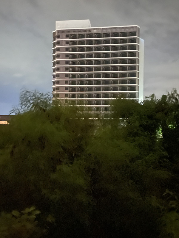 IMG_4238