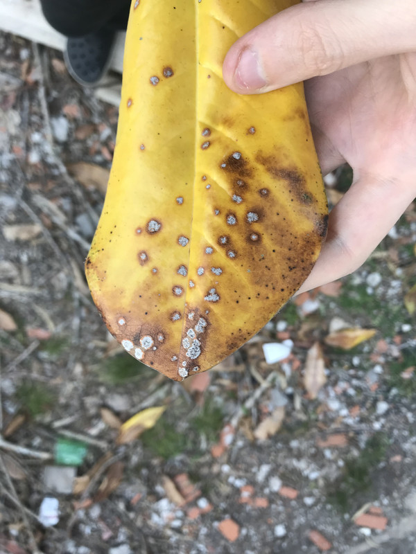 1D6794F7-588F-48F4-AB42-1A3075FE5271