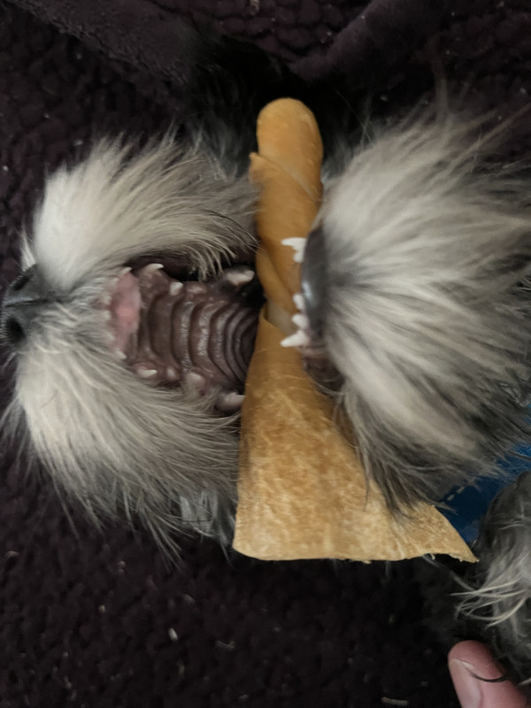 E1C21BED-8244-4220-92E9-369759534744