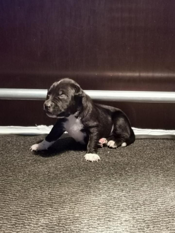 987049B7-B372-49EE-8206-4B5724DEE2DD