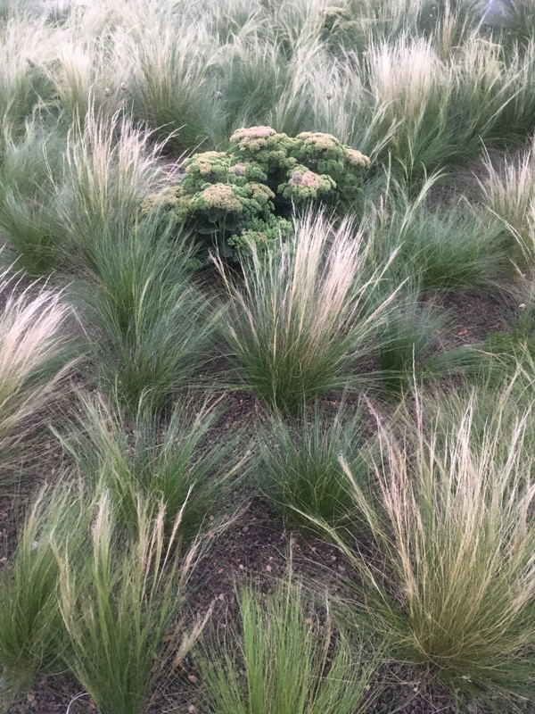 2F12DF65-5E61-4FE7-8B2E-7AFDE0301B52