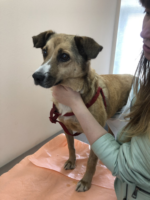 180BD249-1916-4AC9-A79A-B85AD714609E