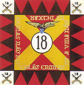 BII18