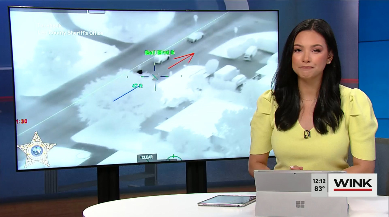 03.29 - 17.00.00 - The Wink Noon News  ᴺᵉʷ. Midday News Update.-1.mp4_snapshot_19.02.882