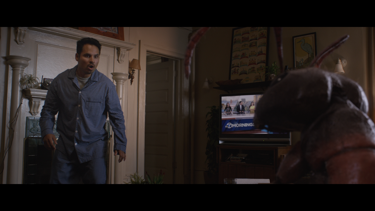 Ant.Man.and.the.Wasp.2018.1080p.BluRay.REMUX.AVC.DTS-HD.MA.7.1-E