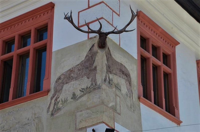 Rumanía y sus pueblos-2015 - Blogs de Rumania - Sighișoara-8-8-2015 (16)