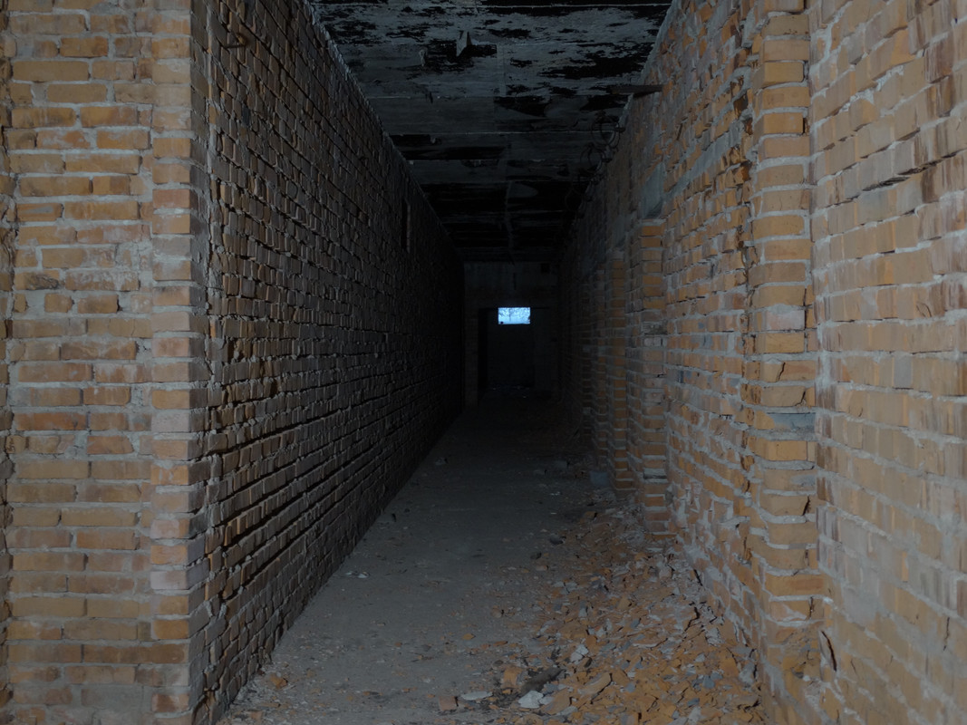 03.02 - DSC06208 (Czesio1)