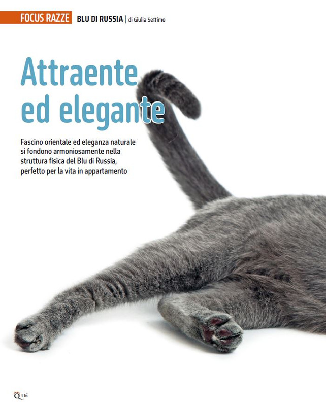 QuattroZampe Dic 2024-Gen 2025 (11)