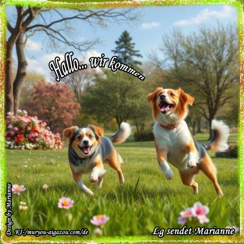 232-Hallo-wir-kommen