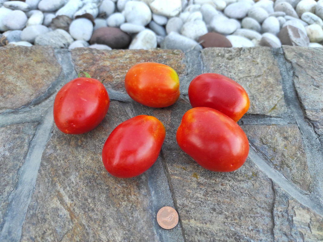 548193880_24559549936997374_2452577730419106245_n