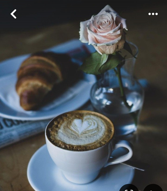 Screenshot_20240712_231024_Pinterest