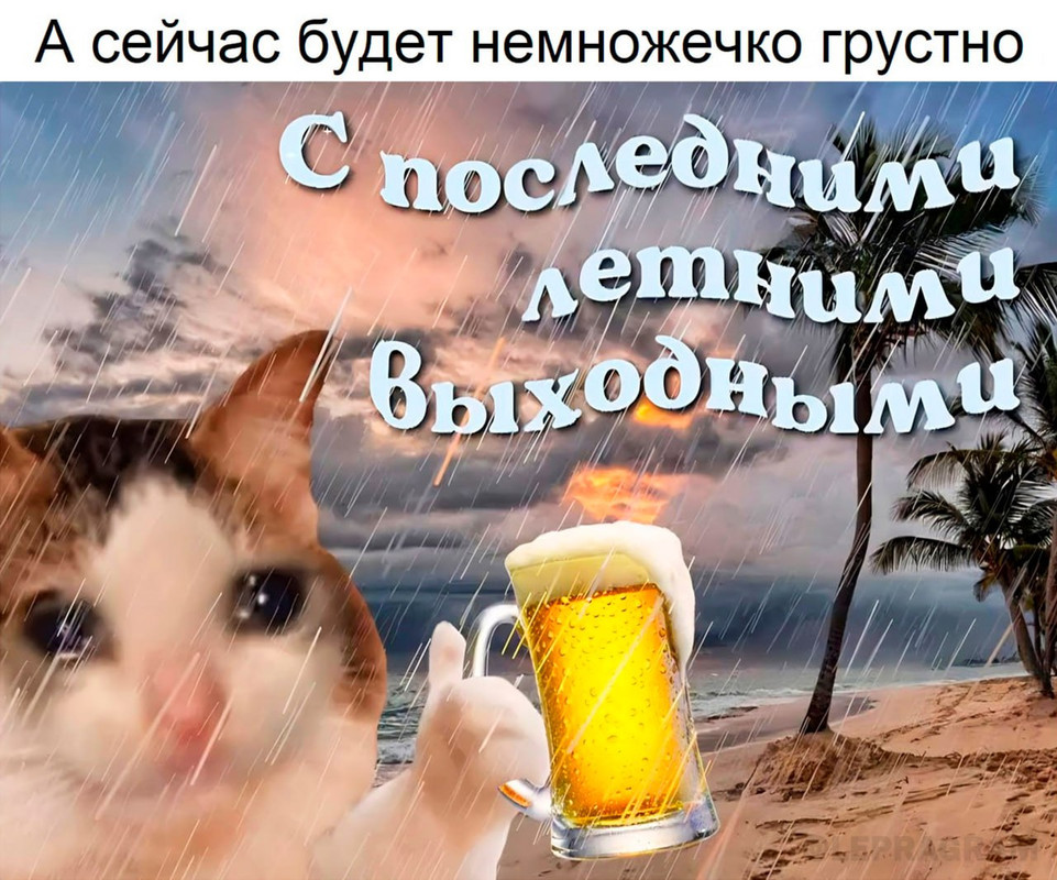 лето до слёз photo_2023-08-26_13-03-45