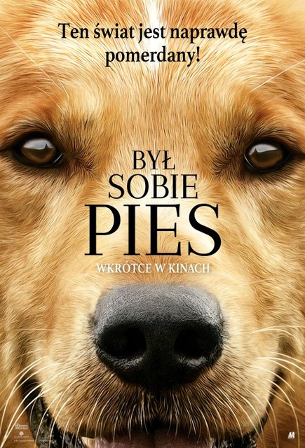 Był Sobie Pies / A Dog's Purpose (2017) MULTi.1080p.BluRay.Remux.AVC.DTS-HD.MA.5.1-fHD / POLSKI DUBBING i NAPISY