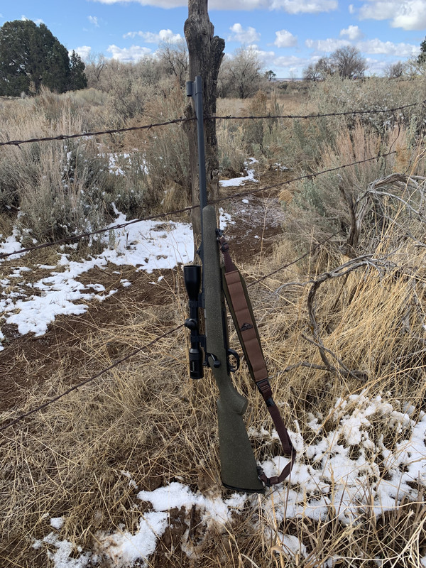 39F5BC3C-E406-4D2A-9ADE-7DA28B7E33EC