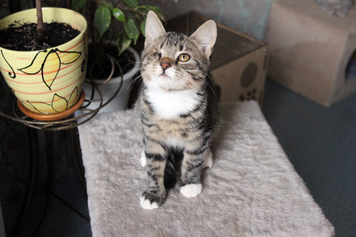 B53FA5D8-78A7-411C-BA5C-EA621CFF9389