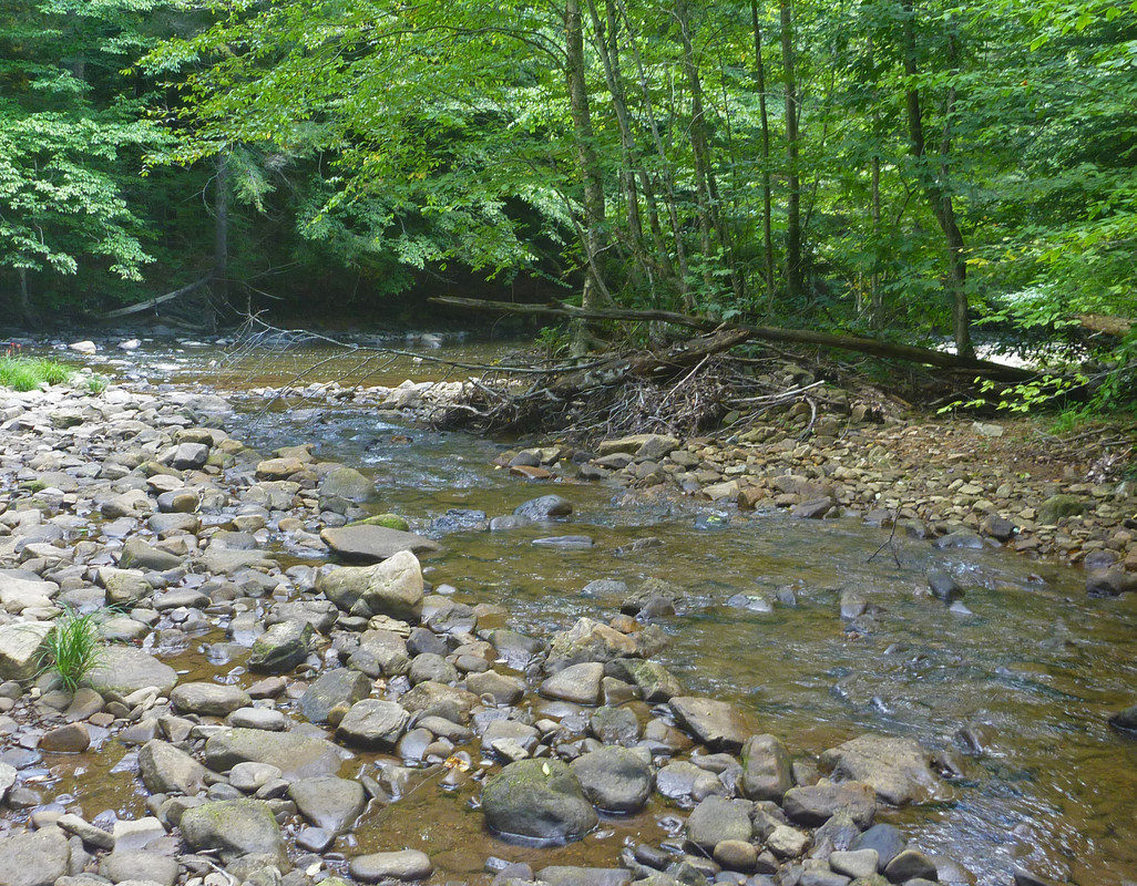 2022-09-01 8 - at mouth