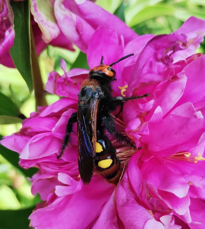 изображение_viber_2025-06-14_12-41-31-482