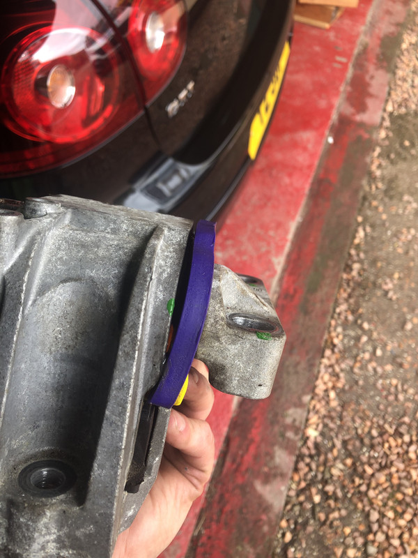 CD4C6271-0A75-4695-8613-7C2D1017C9C5