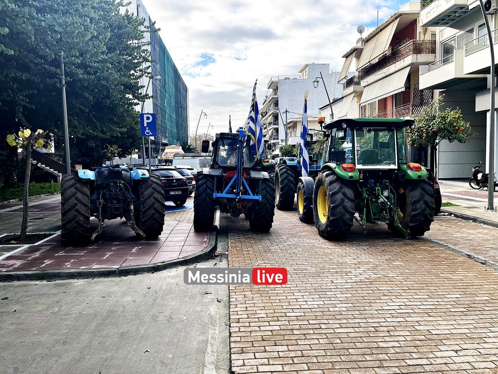AGROTES-DIKASTHRIAIMG-1279