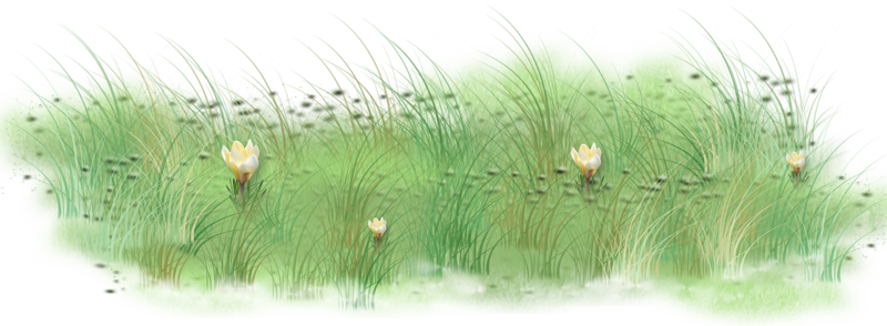 0_1c0e1f_49bc1424_orig