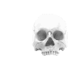 pixel