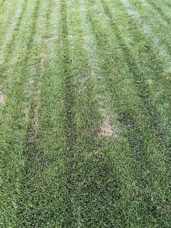 A048991A-BF69-401B-BBB2-AD76A90EBBD3