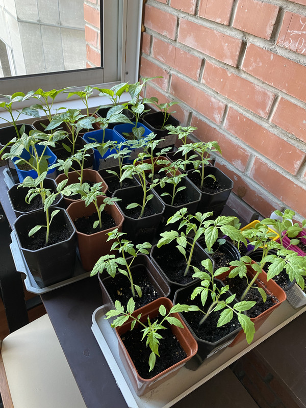 EE2BEF22-4AE9-4EE4-BAE8-8C65E6469769