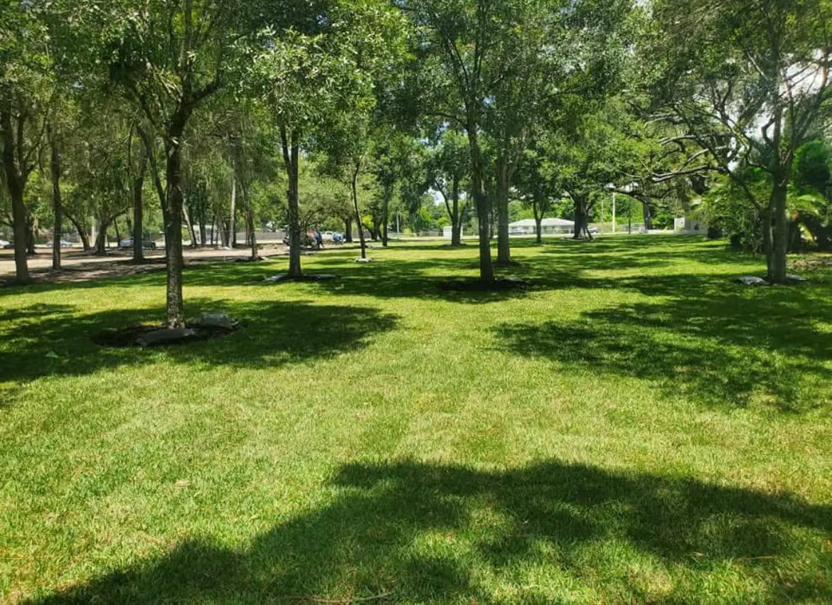 wholesale sod near me