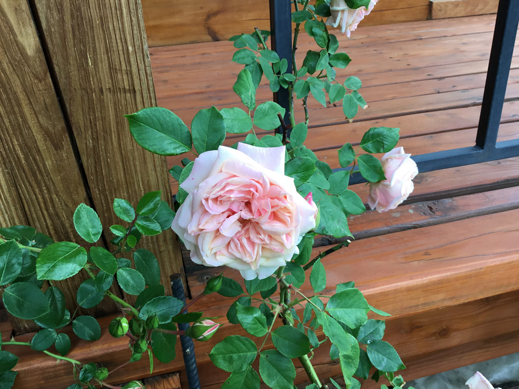 0E9C7BCF-FE99-4879-97F9-148319B67327