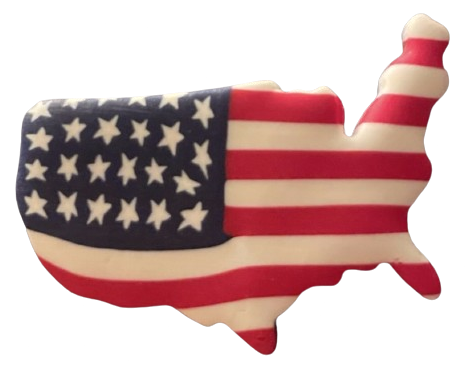 a weird clay-textured enamel pin of the geographic united states with the american flag glazed over it... it's ironic, i promise