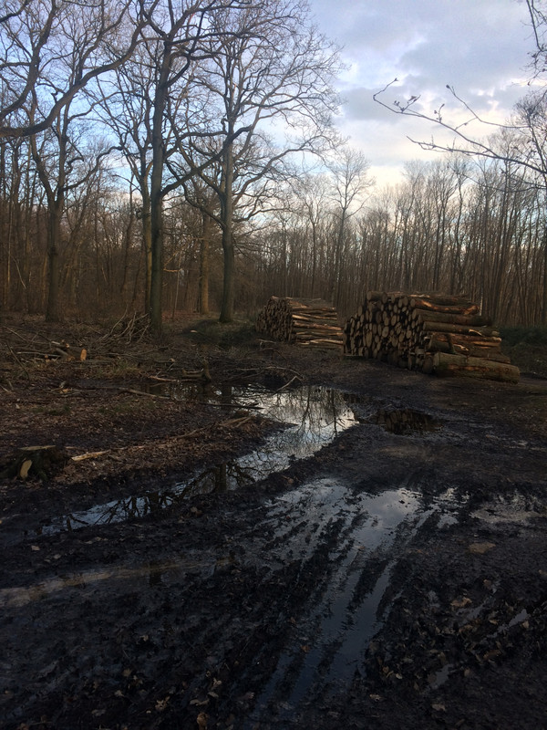 8AAA8145-515F-42BA-A043-41B1E7C781DA