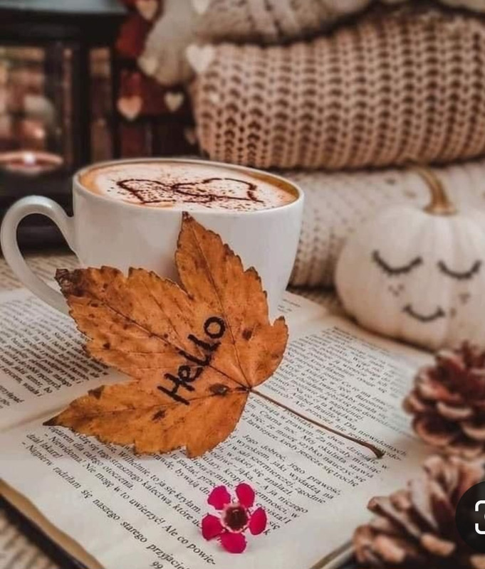 Screenshot_20230316_183157_Pinterest