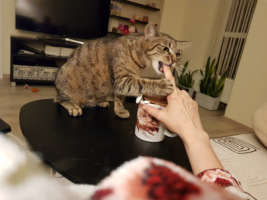 20190507-222409.jpg